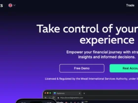 BigMarkets Review