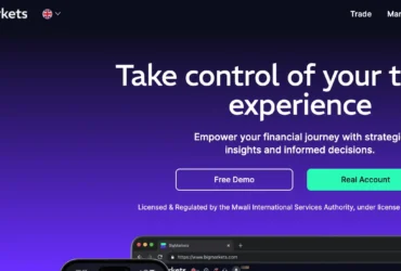 BigMarkets Review