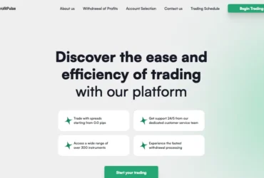 BigProfitPulse Review