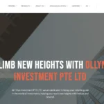 Ollyn Investment Review