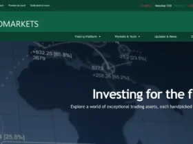 Zorro Markets Review