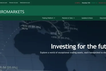 Zorro Markets Review