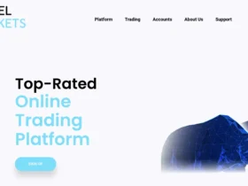 Angel Markets Review