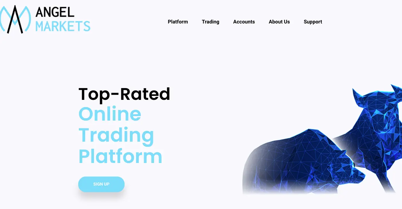 Angel Markets Review