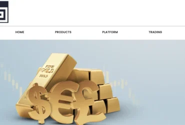 Bayview Brokers Review