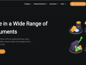 Dizicx Review