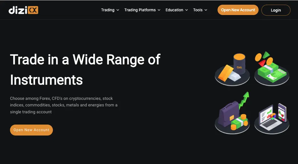 Dizicx Review