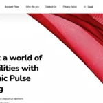 Dynamic Pluse Trading Review