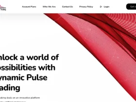 Dynamic Pluse Trading Review