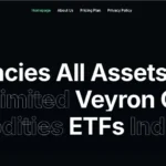 Veyron Consulting Review