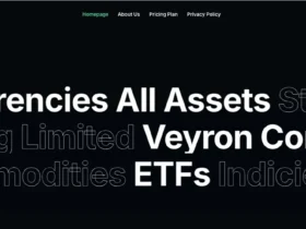 Veyron Consulting Review