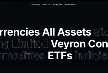 Veyron Consulting Review