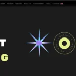 StgBid Review