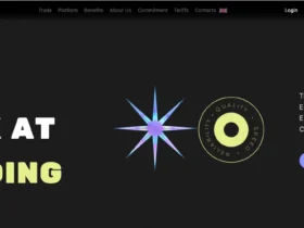 StgBid Review